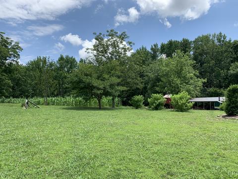 15 Gamble Rd, Five Points, TN 38457 photo 31