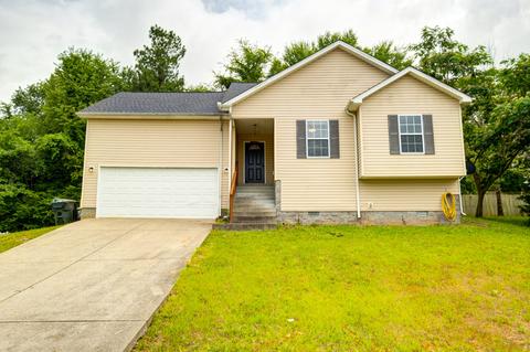 541 Leeza Loop, Dickson, TN 37055 photo 1