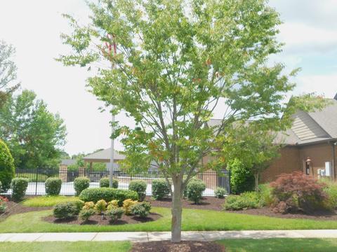1414 Riverbrook Dr, Hermitage, TN 37076 photo 36