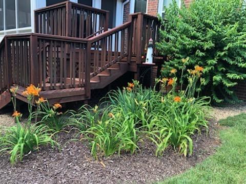 252 Noah Dr, Franklin, TN 37064 photo 40