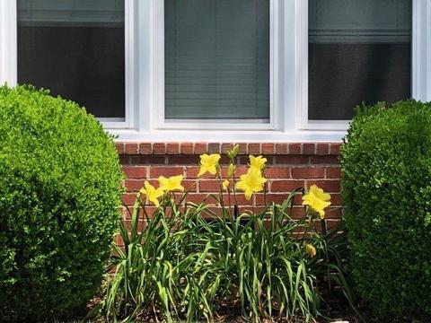 252 Noah Dr, Franklin, TN 37064 photo 38