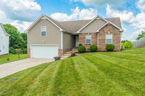 623 Chestnut Ct, Springfield, TN 37172 photo 4
