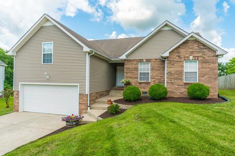 623 Chestnut Ct, Springfield, TN 37172 photo 2