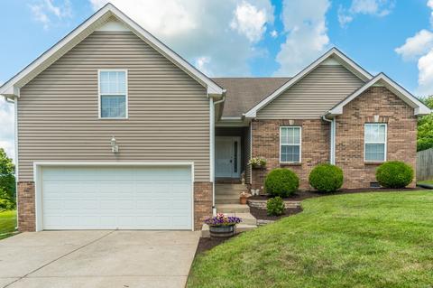 623 Chestnut Ct, Springfield, TN 37172 photo 1