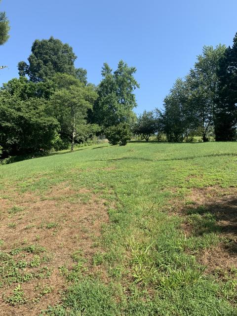 2158 Shores Rd, Goodspring, TN 38460 photo 28