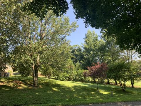 2158 Shores Rd, Goodspring, TN 38460 photo 5