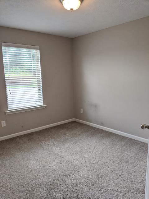 804 Sam Patch Ct, Hermitage, TN 37076 photo 19