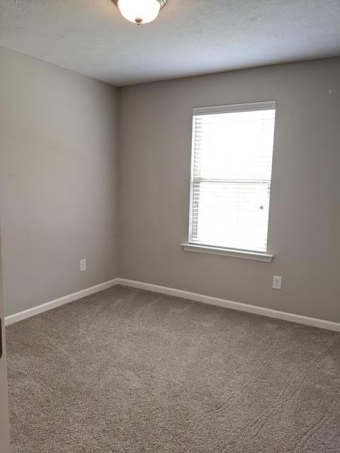 804 Sam Patch Ct, Hermitage, TN 37076 photo 21