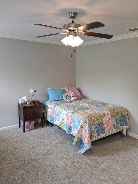 804 Sam Patch Ct, Hermitage, TN 37076 photo 14