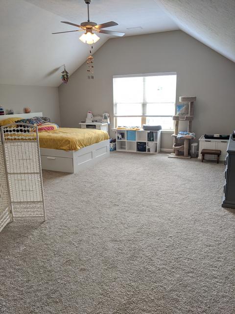 804 Sam Patch Ct, Hermitage, TN 37076 photo 23