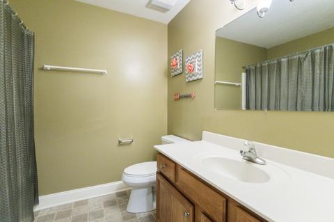 314 Silvia Ct, Springfield, TN 37172 photo 16
