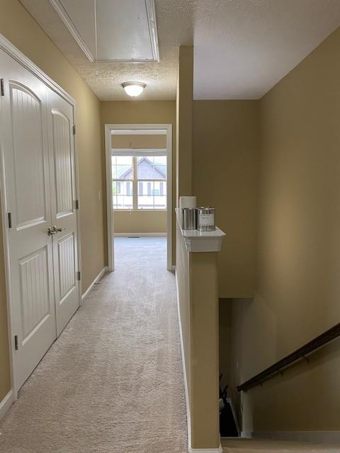 5313 Dan Post Way, Murfreesboro, TN 37128 photo 24