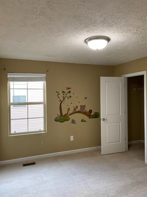 5313 Dan Post Way, Murfreesboro, TN 37128 photo 23