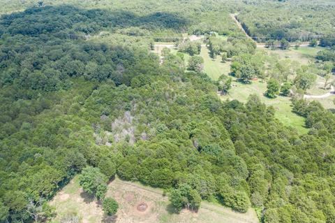 2100 John Windrow Rd, Eagleville, TN 37060 photo 11