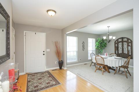 272 Canvasback Ct, Spring Hill, TN 37174 photo 9