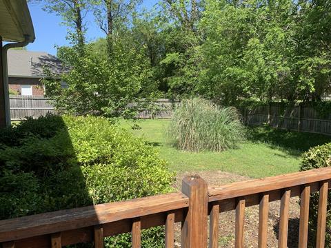 339 Braxton Dr, Murfreesboro, TN 37130 photo 39