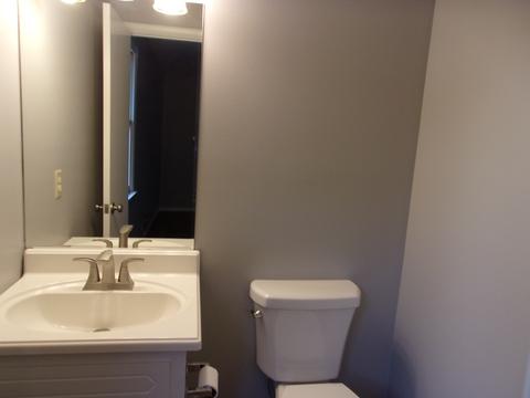 303 Lish Ln, Springfield, TN 37172 photo 26