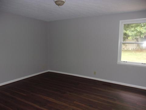 303 Lish Ln, Springfield, TN 37172 photo 19