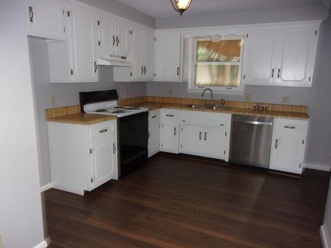 303 Lish Ln, Springfield, TN 37172 photo 17