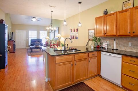 203 Johnstone Dr, Dickson, TN 37055 photo 14