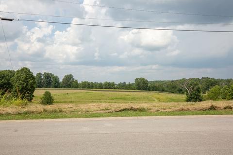 203 Johnstone Dr, Dickson, TN 37055 photo 5