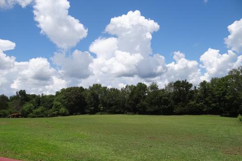 8493 Mulberry Rd, Baxter, TN 38544 photo 22