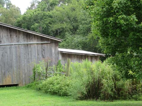 109 Brown Rd, Morrison, TN 37357 photo 5