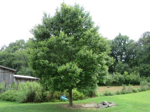 109 Brown Rd, Morrison, TN 37357 photo 6