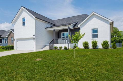 333 Brandywine Ln, Springfield, TN 37172 photo 1