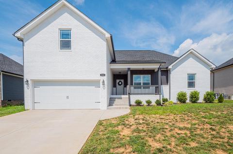 333 Brandywine Ln, Springfield, TN 37172 photo 3