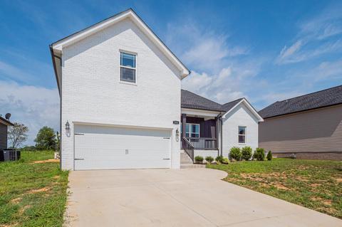 333 Brandywine Ln, Springfield, TN 37172 photo 2