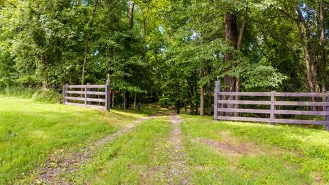 6006 Bethlehem Rd, Springfield, TN 37172 photo 3