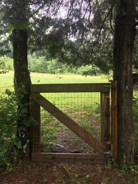1048 Westfield Rd, Dickson, TN 37055 photo 30