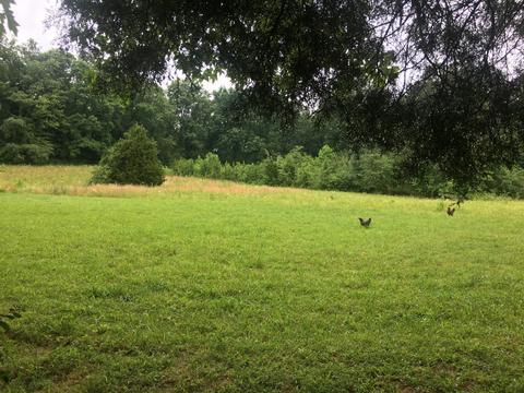 1048 Westfield Rd, Dickson, TN 37055 photo 32