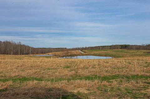 195 Weakley Loop Rd, Ethridge, TN 38456 photo 4