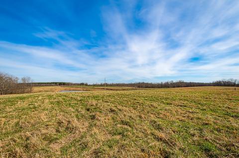 195 Weakley Loop Rd, Ethridge, TN 38456 photo 5