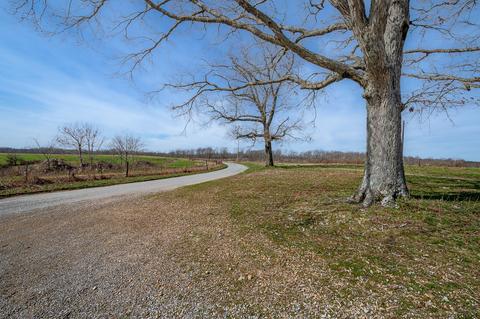 209 Weakley Loop Rd, Ethridge, TN 38456 photo 8