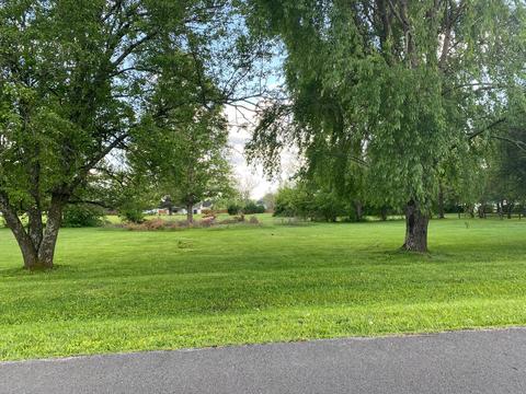 217 Juniper Dr, Murfreesboro, TN 37129 photo 1