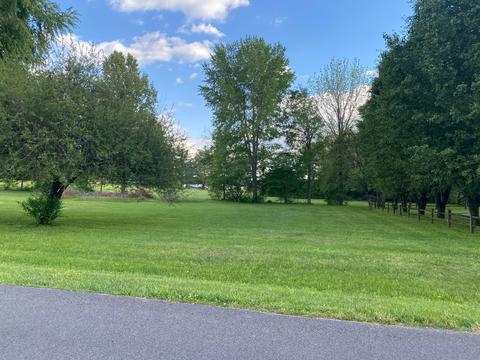 217 Juniper Dr, Murfreesboro, TN 37129 photo 2