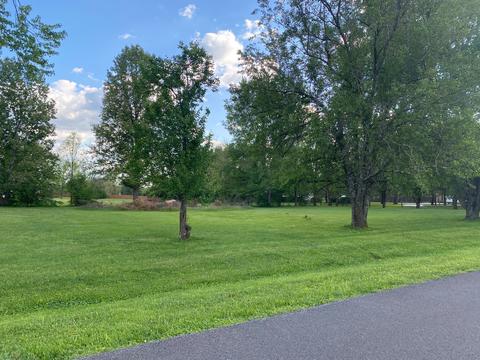 217 Juniper Dr, Murfreesboro, TN 37129 photo 3