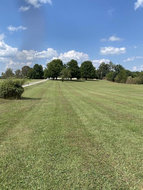221 Riddle Ln, Loretto, TN 38469 photo 4
