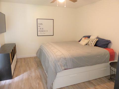643 Laramie Dr, Springfield, TN 37172 photo 5