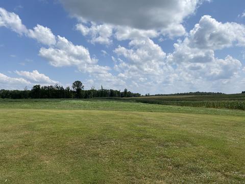 75 Glendale Rd, Loretto, TN 38469 photo 41