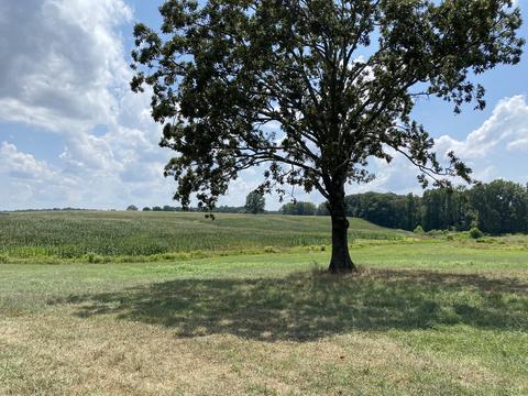 75 Glendale Rd, Loretto, TN 38469 photo 44