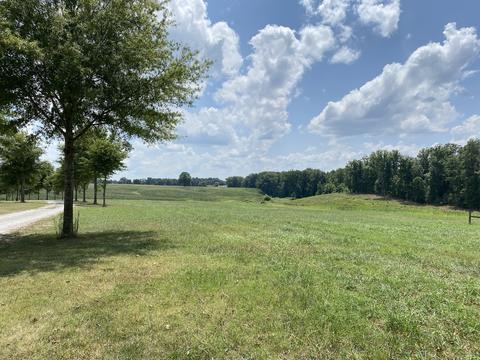 75 Glendale Rd, Loretto, TN 38469 photo 42