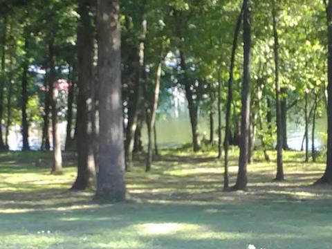 101 Tiger Trl, Dover, TN 37058 photo 3