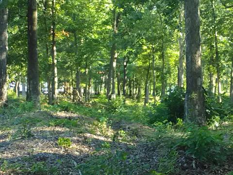101 Tiger Trl, Dover, TN 37058 photo 2