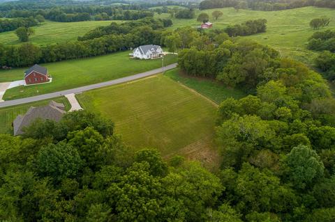 174 Tom Walker Dr, Beechgrove, TN 37018 photo 7