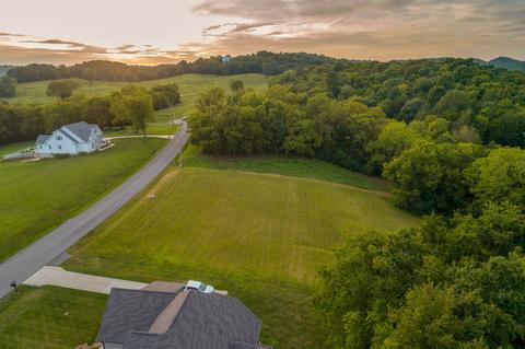 174 Tom Walker Dr, Beechgrove, TN 37018 photo 1