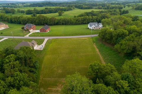 174 Tom Walker Dr, Beechgrove, TN 37018 photo 6